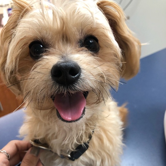 Meet the Posher - Picture 8 of 8